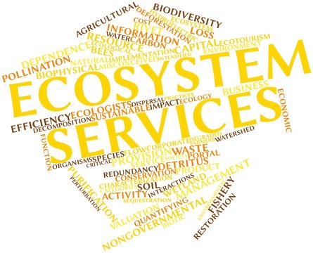 Word cloud for Ecosystem services