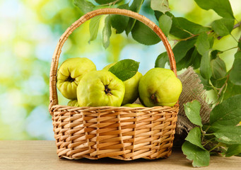 sweet quinces with leaves in basket, on green background