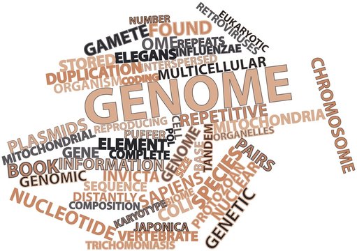 Word cloud for Genome