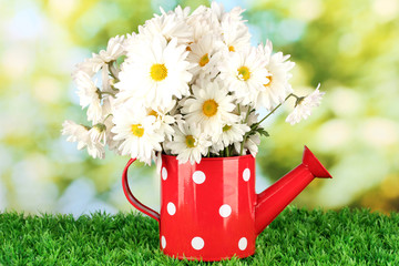 Flowers in vase on grass on bright background