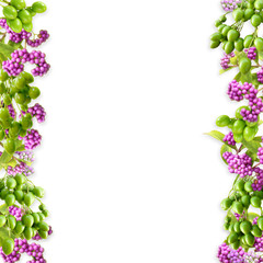 木の実のフレーム