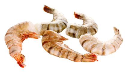 Prawns isolated on white
