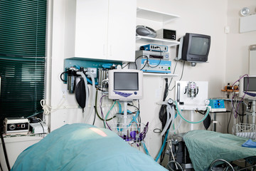 Operating Room In A Veterinary Hospital