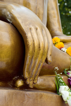 Hand of image buddha