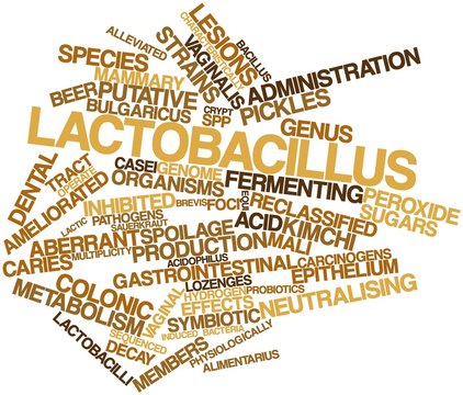 Word cloud for Lactobacillus