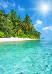 tropical island beach with perfect sky