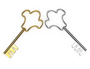 gold and silver keys