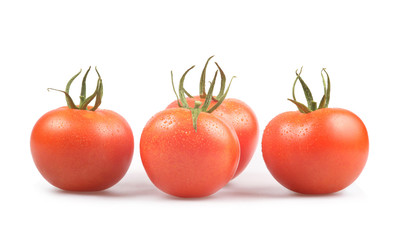 Tomatos isolated on white - obrazy, fototapety, plakaty