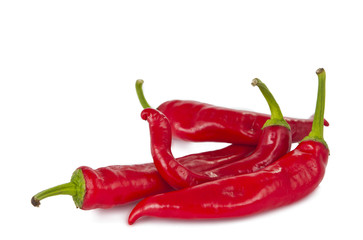 chili pepper isolated