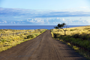 Straight gravel road in Easter Island