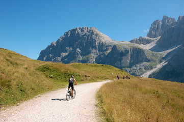 Dolomiti