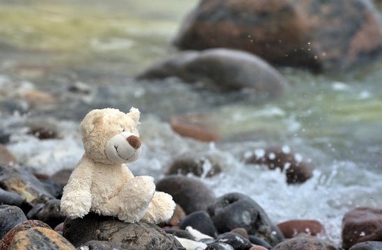 teddy on the sea