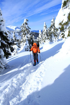 Winter hike on snowshoes.