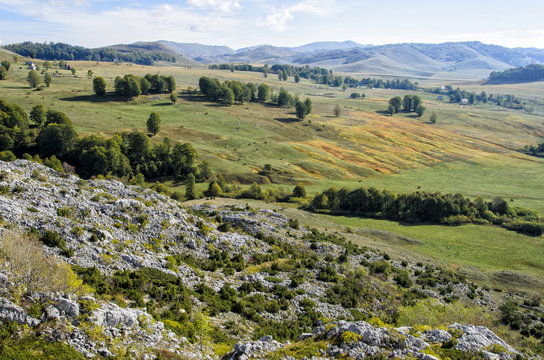 Hill