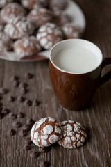Chocolate cookies on a brown background