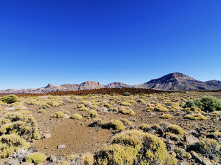 Teide National Park, Tenerife, Canary Islands, Spain