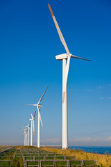 Fototapeta premium Wind farm