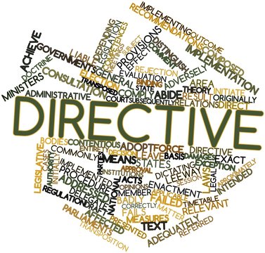 Word Cloud For Directive