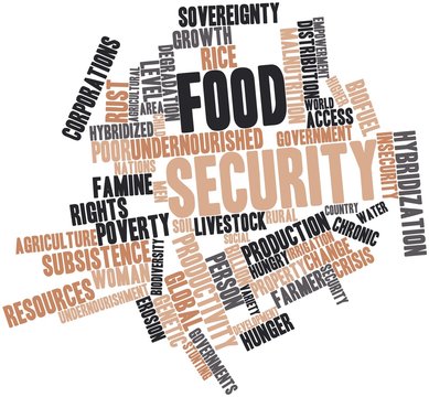 Word cloud for Food security