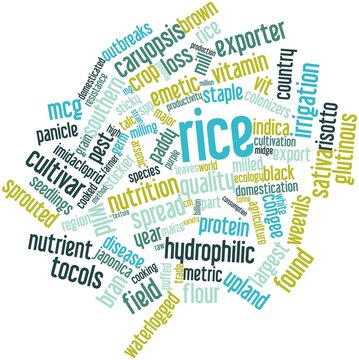 Word cloud for Rice