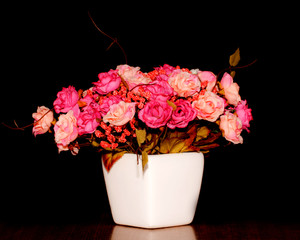 beautiful  blooming flower in vase