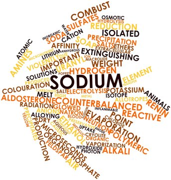 Word cloud for Sodium