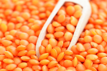 Red lentils in a wooden spoon on a background of red lentils