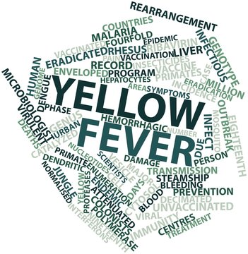 Word cloud for Yellow fever