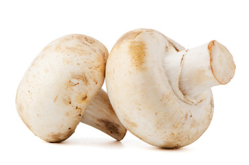 Champignon mushrooms