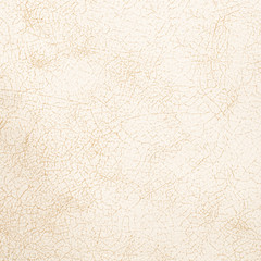 White leather texture