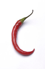 red hot chili pepper ,isolated