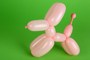 Rosa Ballon-Hund