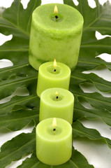row of green candles on green lamina