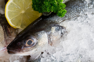 Seafood - fresh sea bass in ice
