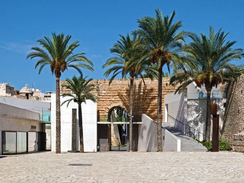 Museum unter Palmen - Es Baluard