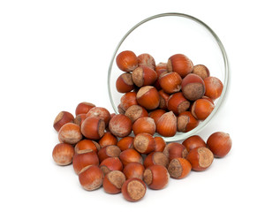 hazelnuts isolated on white background