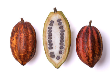 Frische Kakao Früchte mit Bohnen - 47418960
