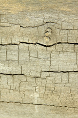 wood texture