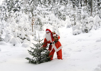 Weihnachtsmann im Winterwald