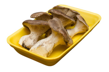 Funghi crudi commestibili