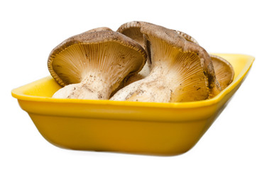 Funghi crudi commestibili