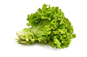 Fresh raw lettuce on white