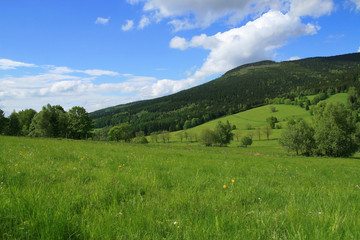 Obraz premium Valley