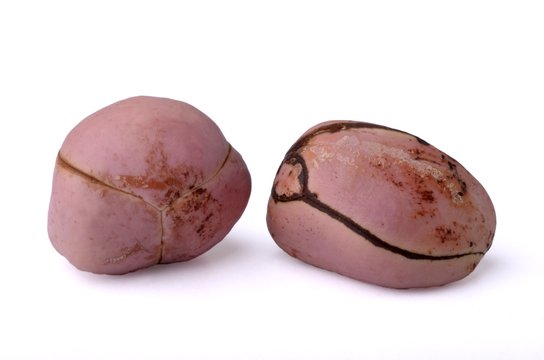 Zwei Kolan&uuml;sse