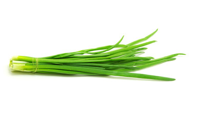 Fototapeta premium onion