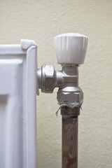 Radiator regulator valve