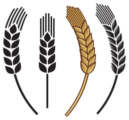 wheat ear icon set