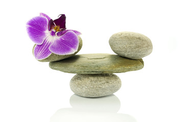 Fototapeta na wymiar balance rocks with orchid
