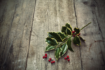 Twig of holly tree lying on old wooden floor