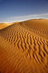 Foto op Canvas Sahara © MAURO